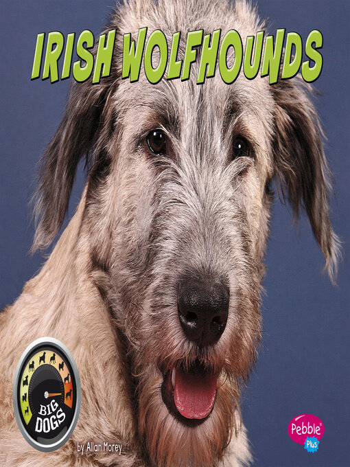Title details for Irish Wolfhounds by Allan Morey - Available